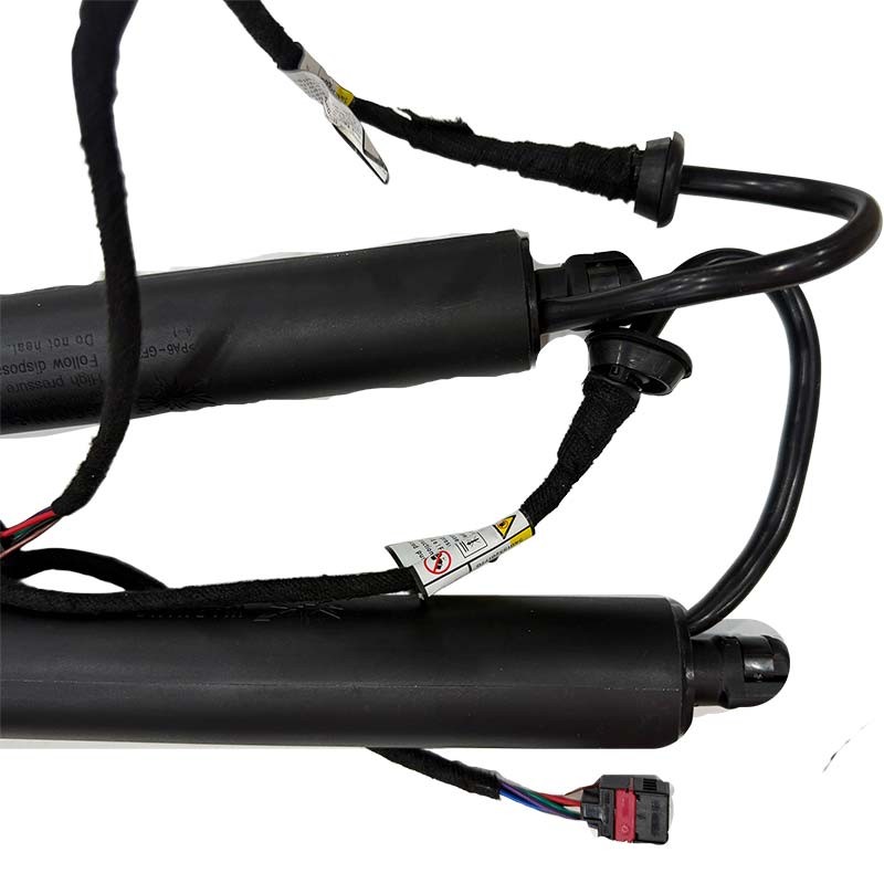 2pcs Tailgate Trunk Gas Spring Struts fit Maserati Levante 670109048 670109047