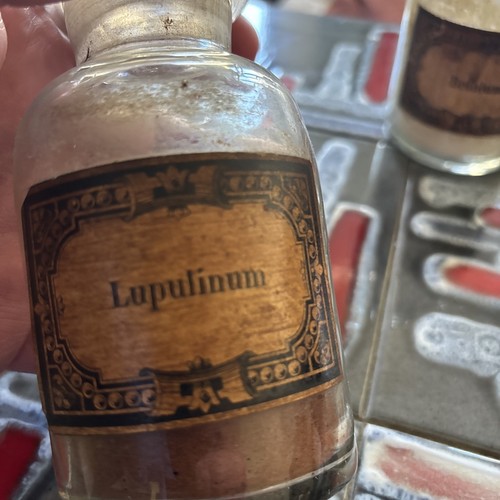 cabinet of curiosities, pharmacy pot 19th century, apothecary, Lupulinum - Picture 3 of 7