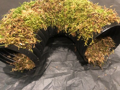  Corrugated Reptile hides For Arboreal Terrestrial Underground and Quarantining 