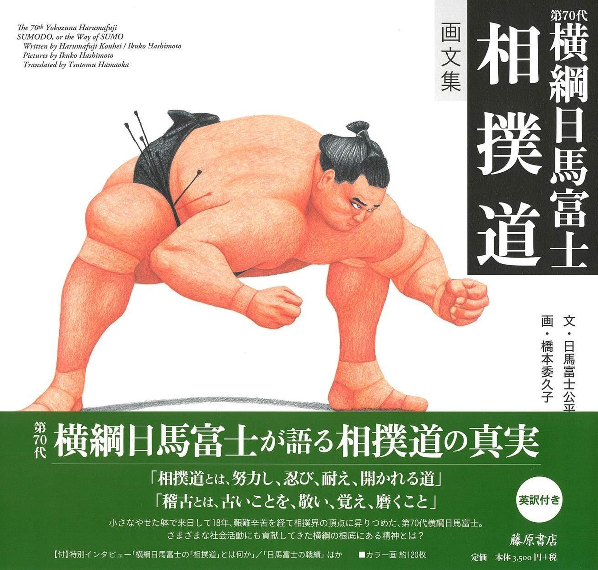Art collection 70th Yokozuna Harumafuji Sumo Road | eBay