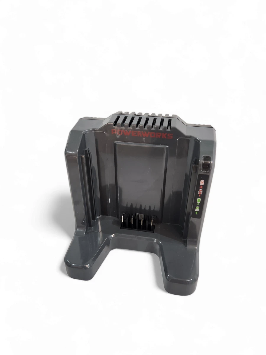 LADEGERÄT POWERWORKS P60UC 60V Nur Ladegerät auch passend zu 