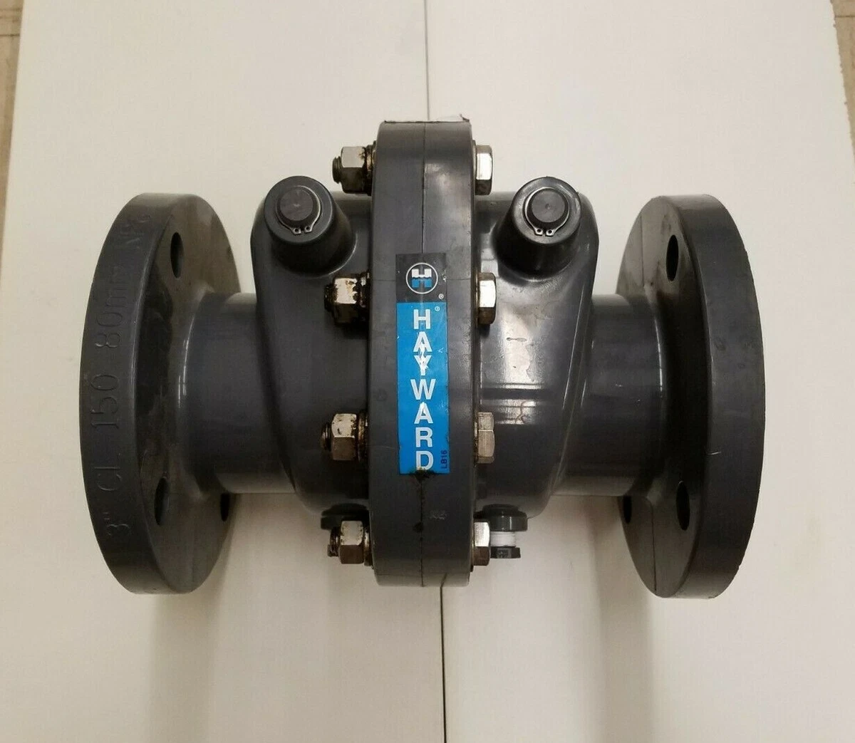 Hayward Swing Check Valve
