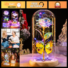 Light Up Galaxy Glass Rose - Forever Preserved Flowers in Dome for Birthday Mo