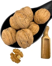 Walnuts Kernels ( Shelled ) 70g - 5kg  (Juglans regia L.)