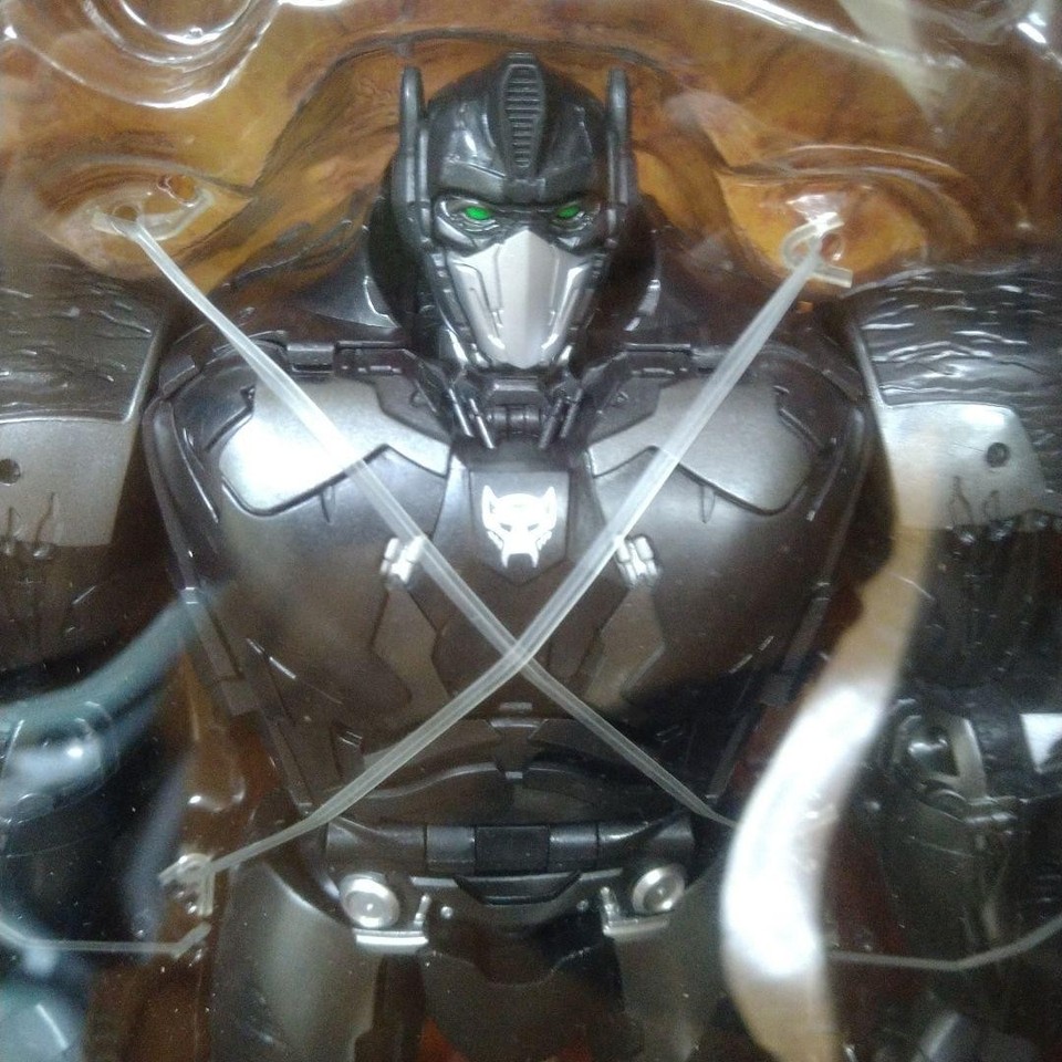 Primal: The Awakening - Kooperatives Fantasy-Brettspiel | Abenteuer & Strategie Für 1-4 Spieler