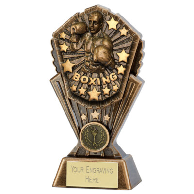 Personalisierte Gravur Kosmos Boxen Great Player Team Award