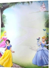 25 Blank Sheets Disney Princess Gartner Studios Blank Paper 8.5"x11"