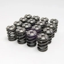 Skunk2 Alpha Valve Springs + Titanium Retainer kit for Honda K20/K24 Engine