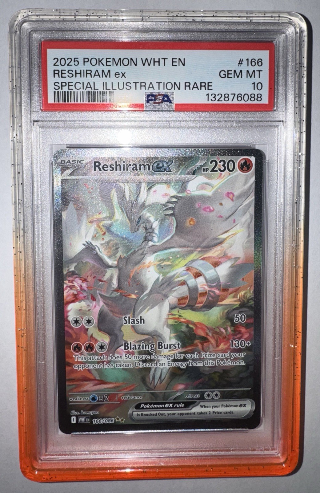 Graded Card Guard Bumper w/Clear Backplate PSA/CGC 27+ Colors Available
