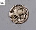 1913 Type 1 Buffalo Nickel ~ Fine F ~ TY1 ~ ZB317
