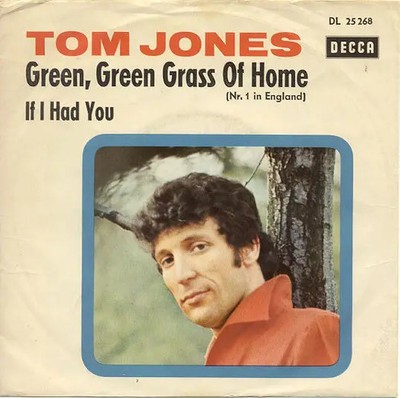 Tom Jones Green, Green Grass Of Home / If I Had You Vinyl Single 7inch Decca