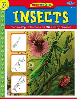 DRAW AND COLOR: INSECTS By Walter Foster *Excellent Condition*