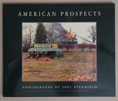 AMERICAN PROSPECTS　Joel Sternfeld Joel Sternfeld | American Prospects: The New Pictures | McLean