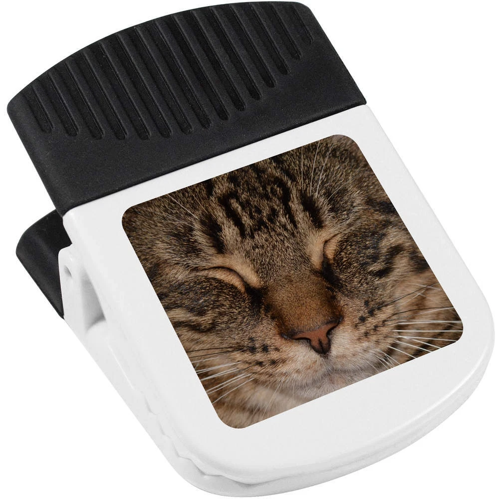 Clip cat online