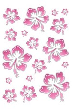 Aufkleber Hibiskusblüten-Set 300 x 200 mm rosa/silber Sticker Auto Blumen