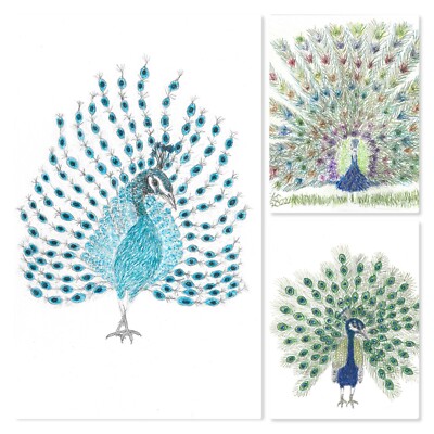 Trio Pfauen Designs von Sharon Louise Brooks