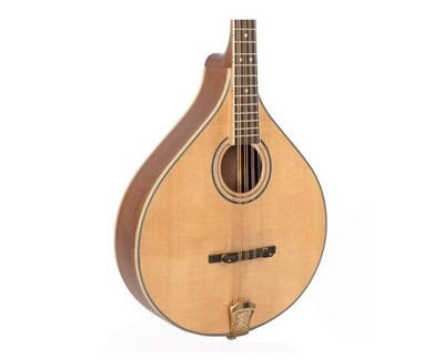 Gold Tone OM-800+ Octave Mandolin - Open Box
