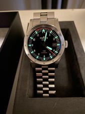 Fortis Flieger F39
