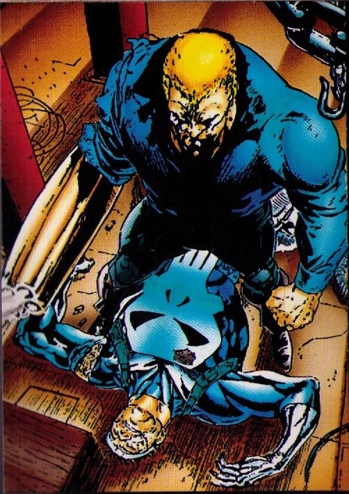 Punisher Bushwacker