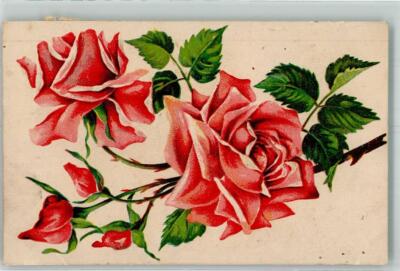 39785044 - Branch with Red Roses 1910