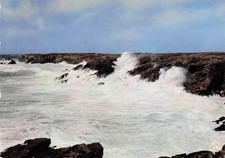 56 QUIBERON LA MER DEFERRANT SUR LA COTE SAUVAGE