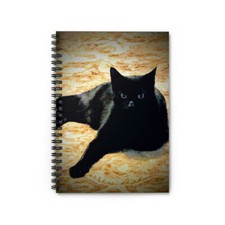 Spiral Notebook - Ruled Line