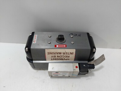 Flowserve S100C10 Stellantrieb 24 VAC