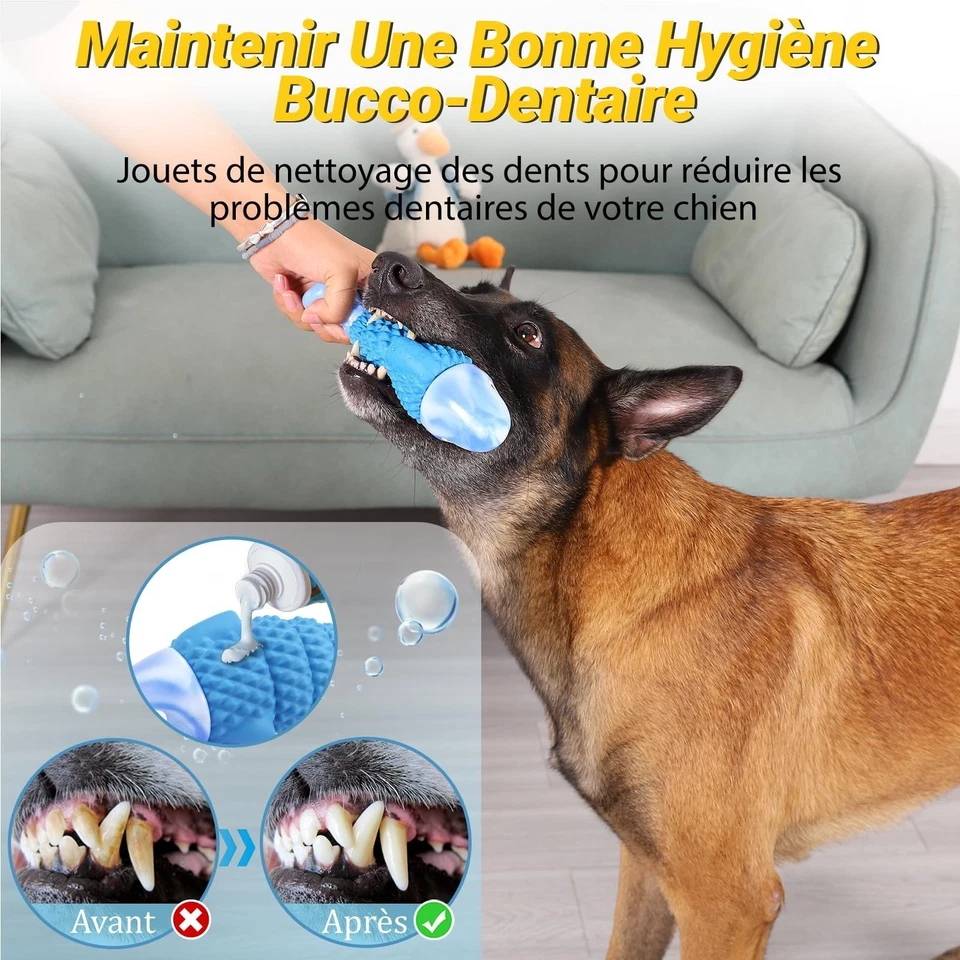 Jouet Chien Indestructible WinTour - Jouet à Mâcher Résistant - Photo 4/4
