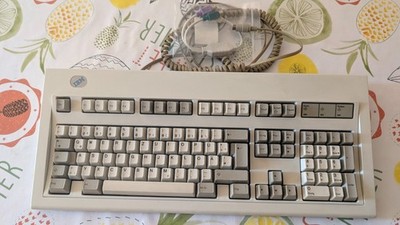 IBM Keyboard Tastatur 1391403 Model M Klick Clicky 1994 PS/2 ** Top Zustand **