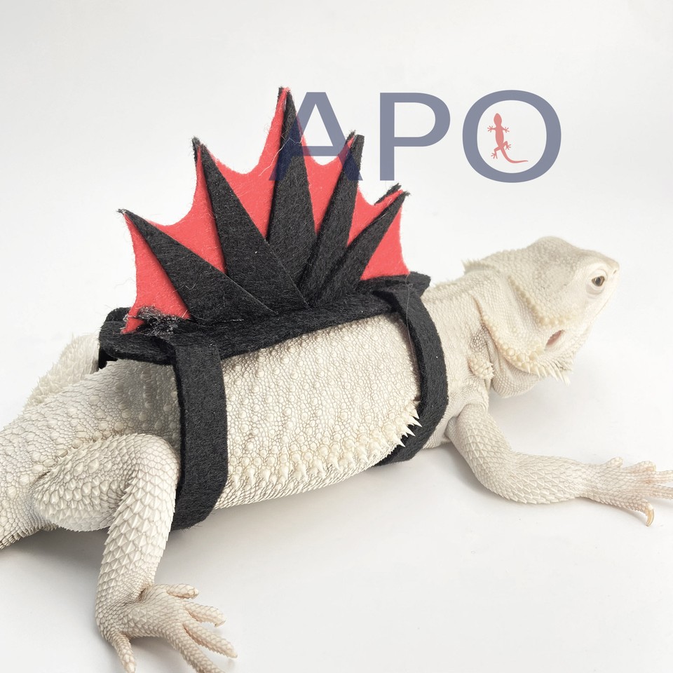 Bearded Dragon Cool Cosplay Spinosaurus Clothes reptile pets(BLACKk&RED ...