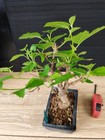 Foto 3 di 7