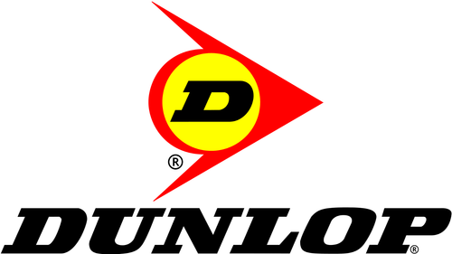 170/60 ZR 17 72W GOMMA PNEUMATICO POSTERIORE DUNLOP GPR 300 170/60 ZR 17 72W - Foto 2 di 2