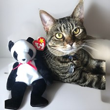 Ty Beanie Baby FORTUNE Panda Bear from 1997 RARE & RETIRED!  Mint cond Error 