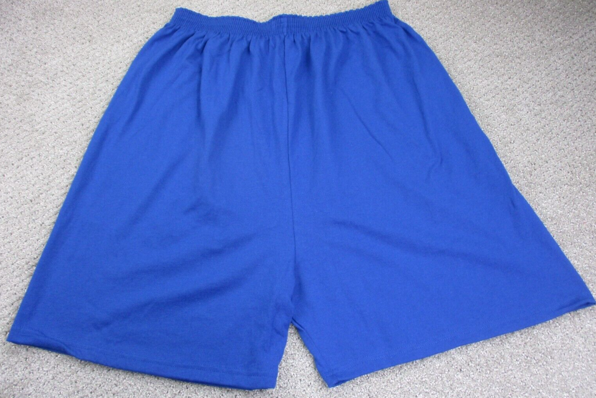 VINTAGE Soffe Activewear Shorts Adult 3XL XXXL Blue Elastic Waist Sports  Unisex