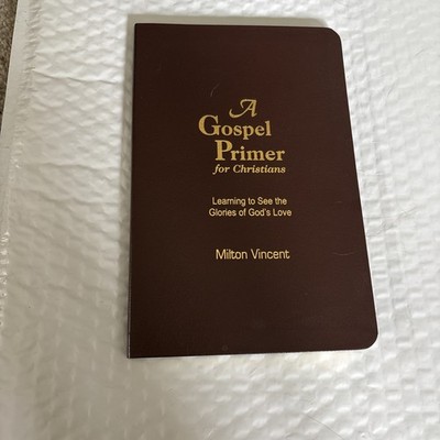 A Gospel Primer for Christians Learning See God's Love Paperback Milton Vincent