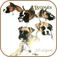 Boxer T-shirt Size 2XL 50/52 White