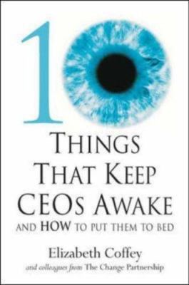 10 Things That Keep Ceos Awake: An How to Put Them to Bed by Elizabeth Coffey