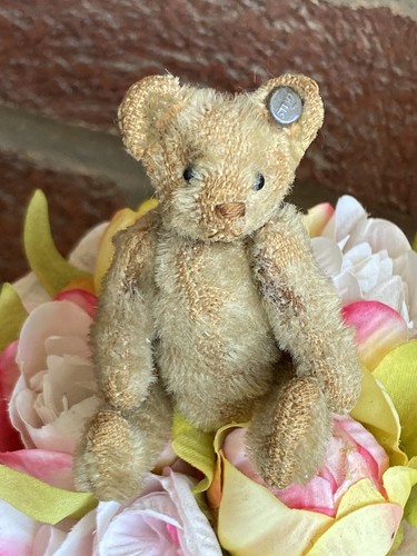 Steiff früher antiker Mohair Mini Bär 3,5" lang F Knopf selten Vorkrieg einmal weiß? - Bild 16 von 16