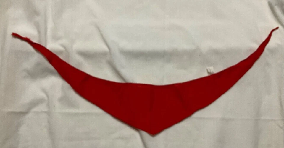 Chaleco pirata pequeño 3+ para niños, pañuelo para el cuello y diadema; usado Foto 3 de 4