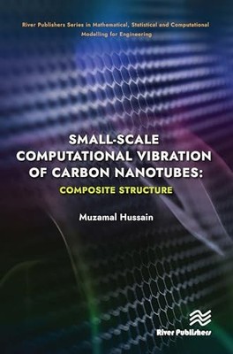 Small-scale Computational Vibration of Carbon Nanotubes: Composite Structure by