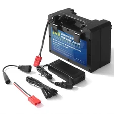 24V Li-ion Battery Pack 12A 20A 30A  for Electric Wheelchair Bycicle Repalcement