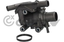Thermostat Ford FOCUS