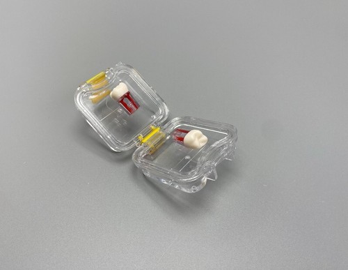 20Pcs Denture False Teeth Membrane Case Container Hinged Display Box Jewelry USA - Picture 13 of 14