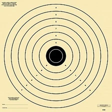 (100) Official B-22 Army "L" Targets 28" x 28"