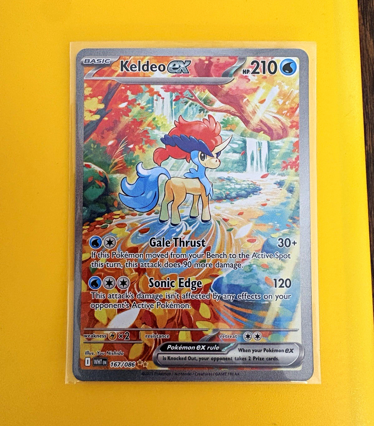 The Pokemon Company Keldeo EX 167/086 Sv: White Flare Rare Holo Full Art EN