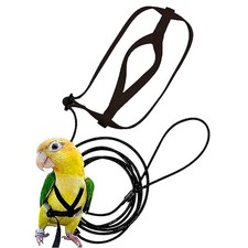 Parrot Bird Harness Leash Adjustable Training Rope Flying Traction Straps Band