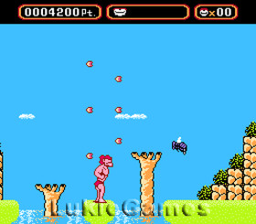 Amagon - NES Nintendo Game