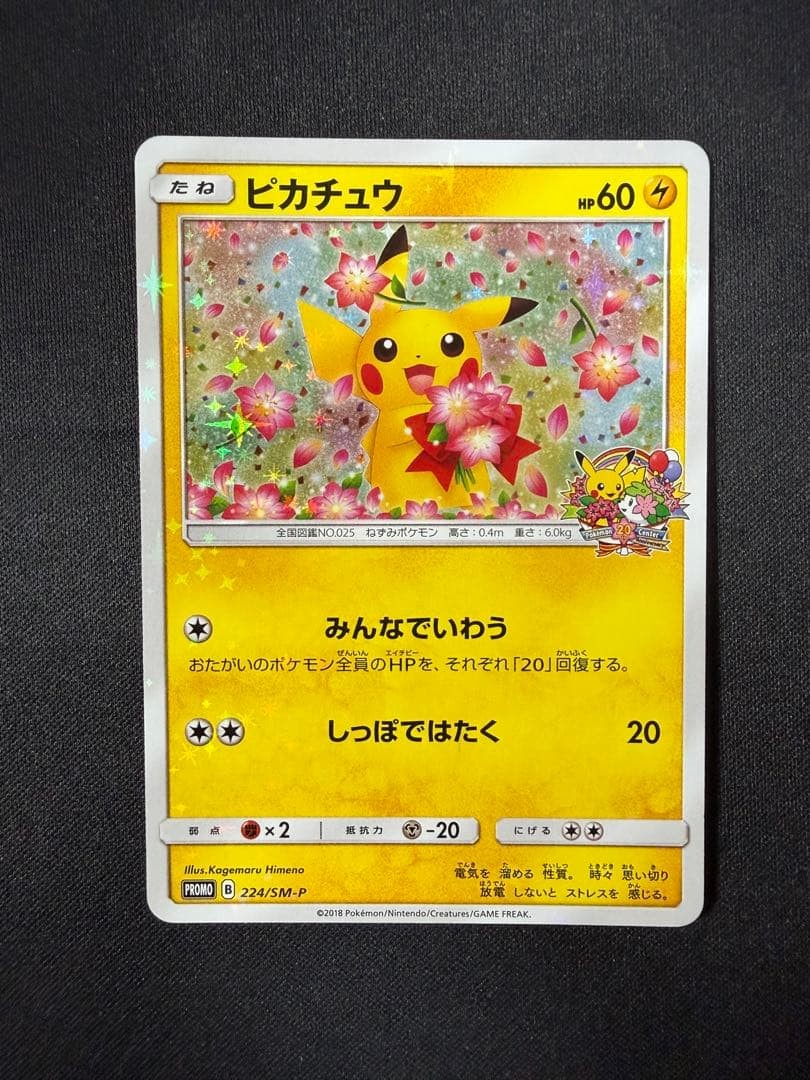 Pikachu 224 SM P Promo Pokemon Card Japanese Sun Moon Rare Collection TCG