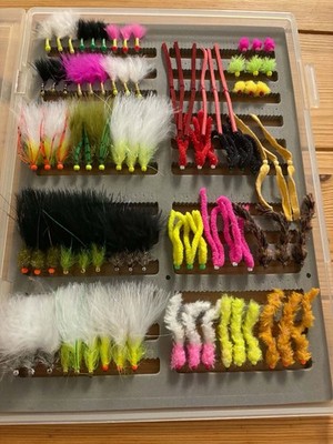 Winterforellen Fliegenbox - 87 beladene Fliegen + einzelne Klarsichtbox   