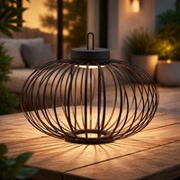 Tischleuchte HäNgelampe Gartenleuchte AußEn Innen Akku Touchdimmer Led D 46 Cm